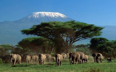 tsavo-west-national-park-kenya-3-1